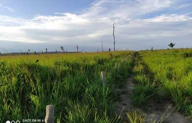 Imagem 14: É Terra Demais Meu Deus Fazenda à Venda no Sul Do Pará - 950 alqueirões