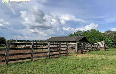 Imagem 5: FAZENDA Á VENDA NO FORMOSO DO ARAGUAIA - TO - 692,12 HEC. DUPLA APTIDÃO