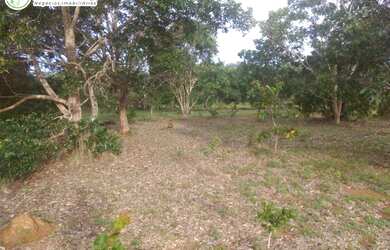 Imagem 8: FAZENDA Á VENDA NO FORMOSO DO ARAGUAIA - TO - 692,12 HEC. DUPLA APTIDÃO