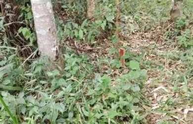 Imagem 8: Terreno em Condomínio para Venda em Jundiaí, Loteamento Capital Ville