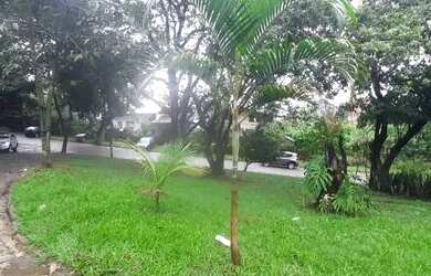 Imagem: O terreno possui 600m² de Área e está localizado em Itanhangá