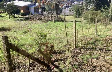 Imagem 5: Terreno - Bairro Mato Queimado