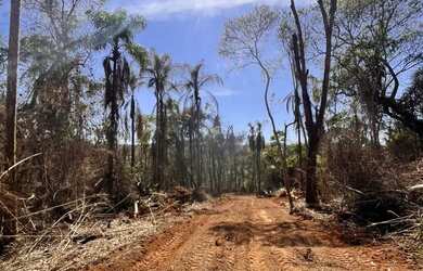 Imagem: O terreno possui 600m² de Área e está localizado em Centro