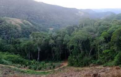 Imagem 7: Terreno em Santa Leopoldina