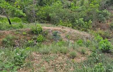 Imagem 12: Terreno Quintas da Boa Vista Felixlândia