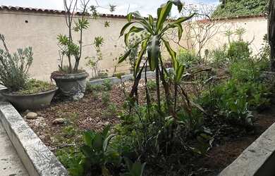 Imagem 5: Rua Bela vendo ou alugo galpão localização maravilhosa