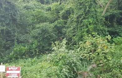 Imagem: TERRENO MUITO PRÓXIMO A PRAIA