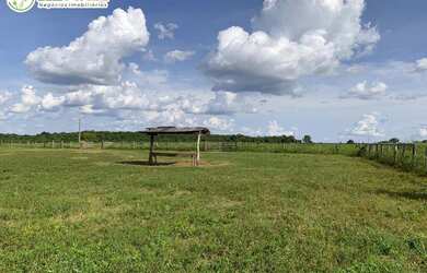 Imagem 2: FAZENDA Á VENDA NO FORMOSO DO ARAGUAIA - TO - 692,12 HEC. DUPLA APTIDÃO