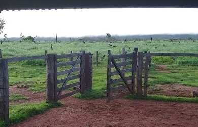 Imagem 8: É Terra Demais Meu Deus Fazenda à Venda no Sul Do Pará - 950 alqueirões