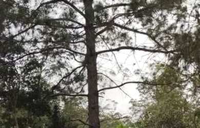 Imagem 2: Terreno em Condomínio para Venda em Jundiaí, Loteamento Capital Ville