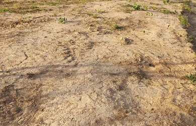 Imagem 5: Lotes. 710m² de Área