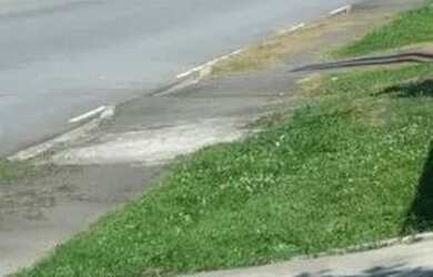 Imagem 1: Terreno em Araucária 403m2