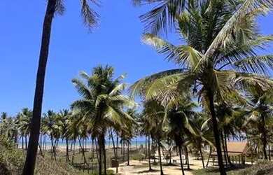 Imagem: O terreno possui 750m² de Área e está localizado em Luar