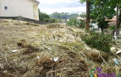 Imagem 10: TERRENO - JARDIM RINCÃO - SP