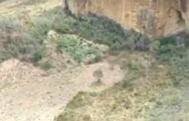 Imagem 3: Fazenda com 122 hectares de Caatinga