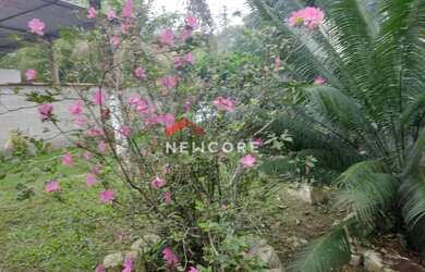 Imagem 8: Sítio em Caminho Fragoso - Guaratiba - Rio de Janeiro/RJ