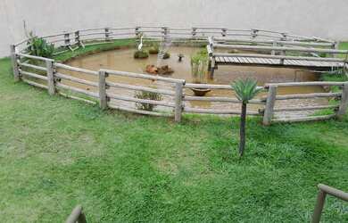 Imagem 11: Apartamento à Venda Conforto, Lazer e Ótima Localização!