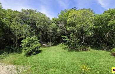 Imagem 13: Sítio / Chácara para Venda em Nova Petrópolis, Linha Imperial, 2 dormitórios,...