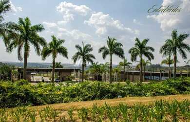 Imagem 7: Terreno - Loteamento Residencial Entre Verdes (Sousas) - Campinas