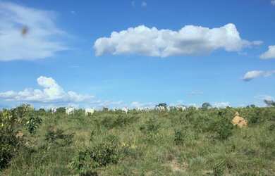 Imagem 8: Fazenda 356,85 ha - Brasilândia de Minas - MG- Estuda Permuta