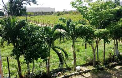 Imagem 3: Apartamentos 2 quartos sala cozinha banheiro