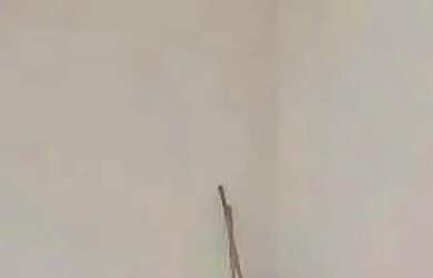 Imagem 10: Casa 3 Quartos com Suíte no Santo Inácio Financia