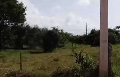 Imagem: O terreno possui 352m² de Área e está localizado em Matapoã