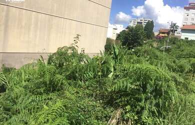 Imagem 5: CAXIAS DO SUL - Terreno Padrão - Colina Sorriso