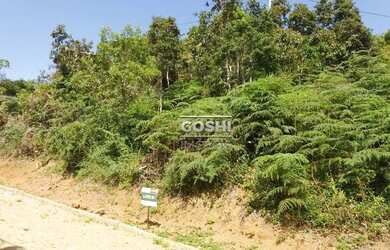 Imagem 5: Terreno à venda, 318 m² por R$ 250.000 - Albuquerque - Teresópolis/RJ