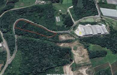 Imagem 3: CAXIAS DO SUL - Terreno Padrão - Ana Rech