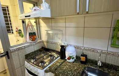 Imagem 9: Alugo Apartamento Pinhais