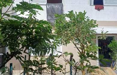 Imagem: A casa possui 2 Dormitórios, 2 Banheiros, 100m² de Área e