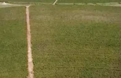 Imagem 12: Fazenda à venda, 10 quartos, 1 suíte, Área Rural de Unaí - Unaí/MG