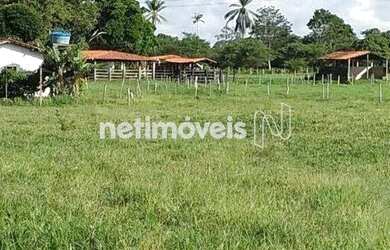 Imagem: A fazenda possui 700000m² de Área e está localizado em Cachoeira