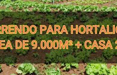 Imagem: A chácara possui 9.000m² de Área e está localizado em Setor