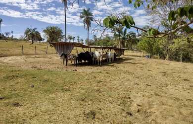 Imagem 6: Fazenda/Sítio/Chácara para venda possui 135 metros quadrados em Setor...