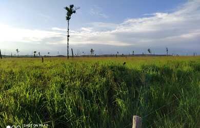 Imagem 12: É Terra Demais Meu Deus Fazenda à Venda no Sul Do Pará - 950 alqueirões