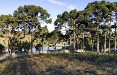 Imagem 9: Terreno com 1.318,34m² em Piraquara - Condomínio Residencial Betaville