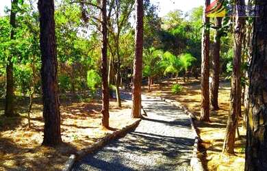 Imagem: A casa em condomínio possui 3 Dormitórios, 2 Banheiros, 2