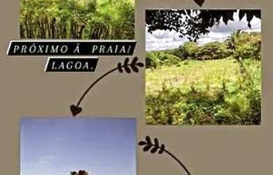 Imagem: O terreno e está localizado em Paracuru, CE à venda por R$35.000