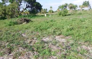 Imagem 1: Terreno 10x34.69. 346m² de Área