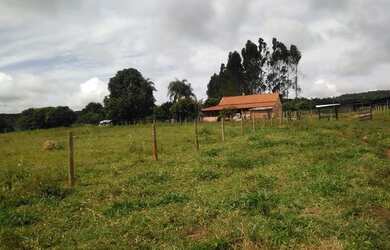 Imagem 14: Vendo excelente fazenda. 