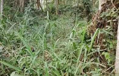 Imagem 4: Terreno em Condomínio para Venda em Jundiaí, Loteamento Capital Ville