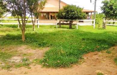 Imagem 11: Vendo excelente fazenda. 