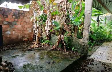 Imagem 13: Ponto comercial com duas casas