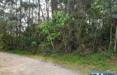 Imagem 15: AREA - INVERNADA - SP. 1.551m² de Área