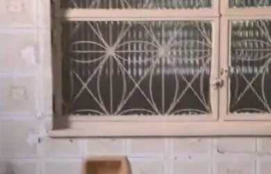 Imagem 7: Casa residencial disponível para locação no bairro Amazonas em Campo Grande/RJ