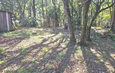 Imagem 7: Terreno em Caxias do Sul - São Virgílio