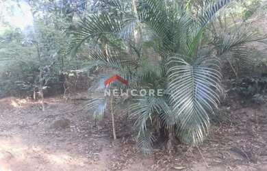 Imagem 10: Lote em Rua Geminiano Gois - Freguesia Jacarepaguá - Rio de Janeiro/RJ