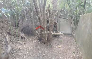 Imagem 5: Lote em Rua Geminiano Gois - Freguesia Jacarepaguá - Rio de Janeiro/RJ